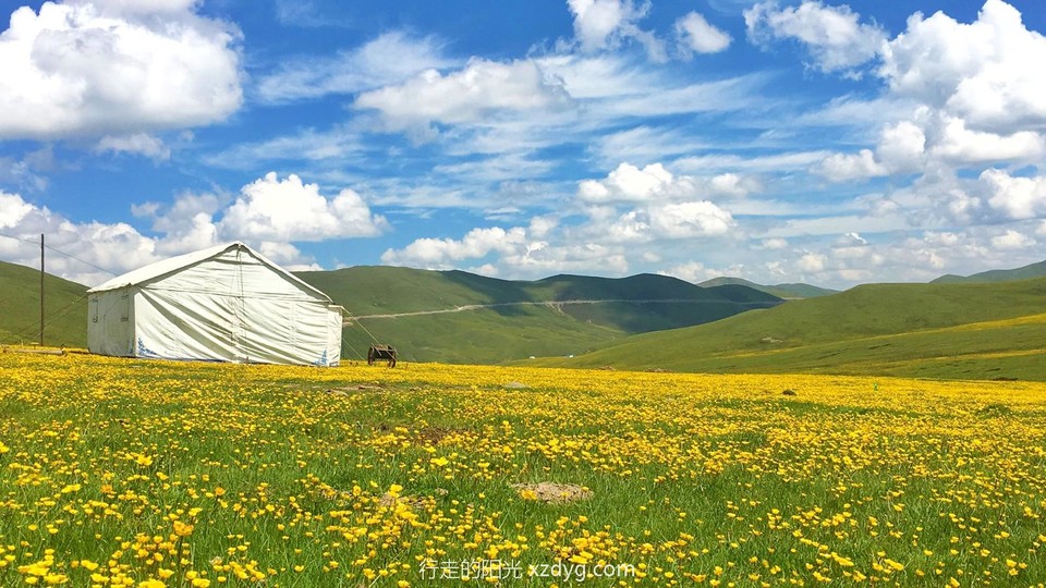 mmexport1618986738712