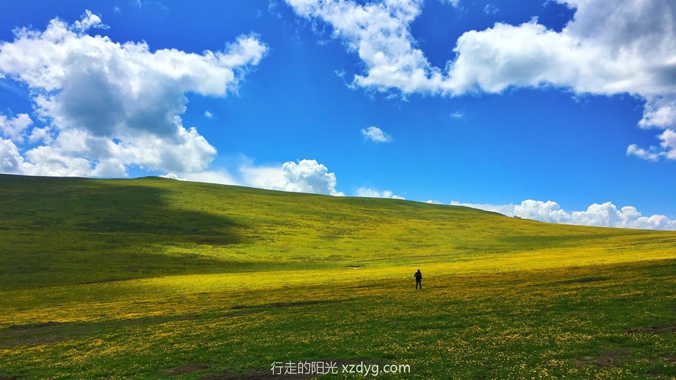 mmexport1618986714917