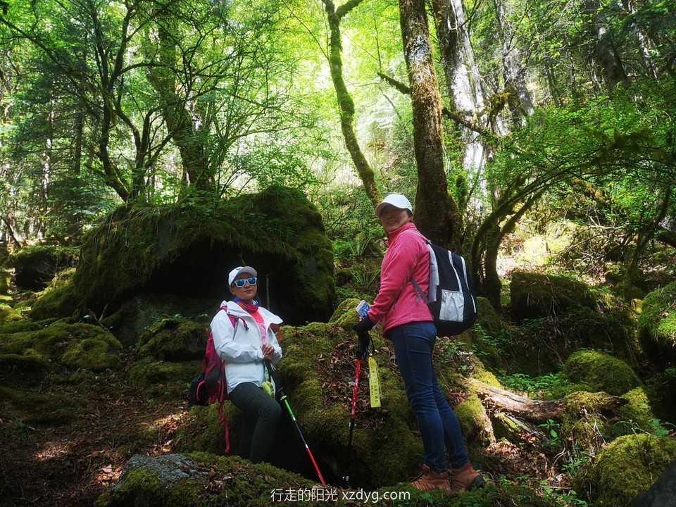 mmexport1621686861228