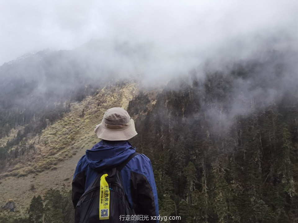 mmexport1621436581234