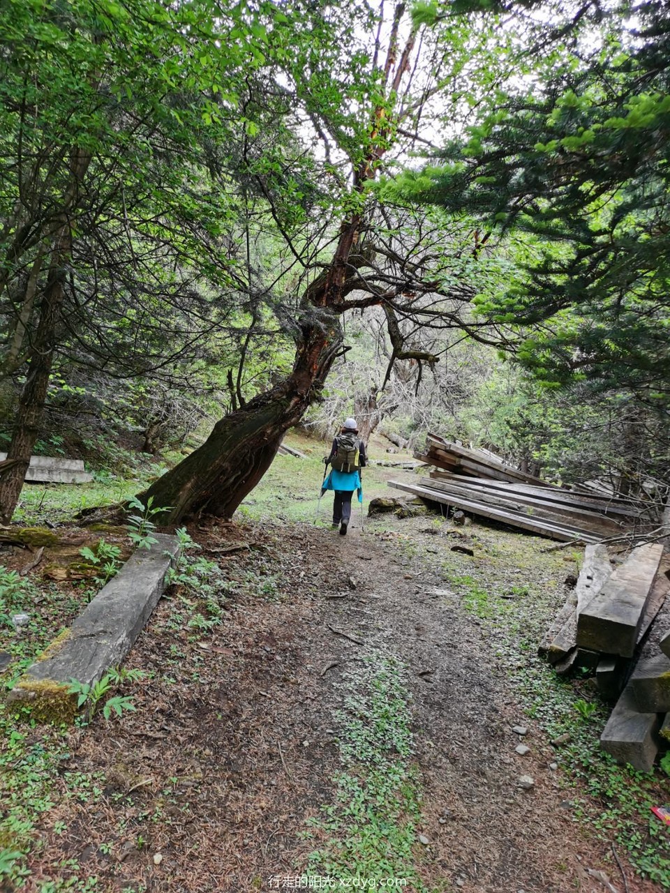 mmexport1621431835566