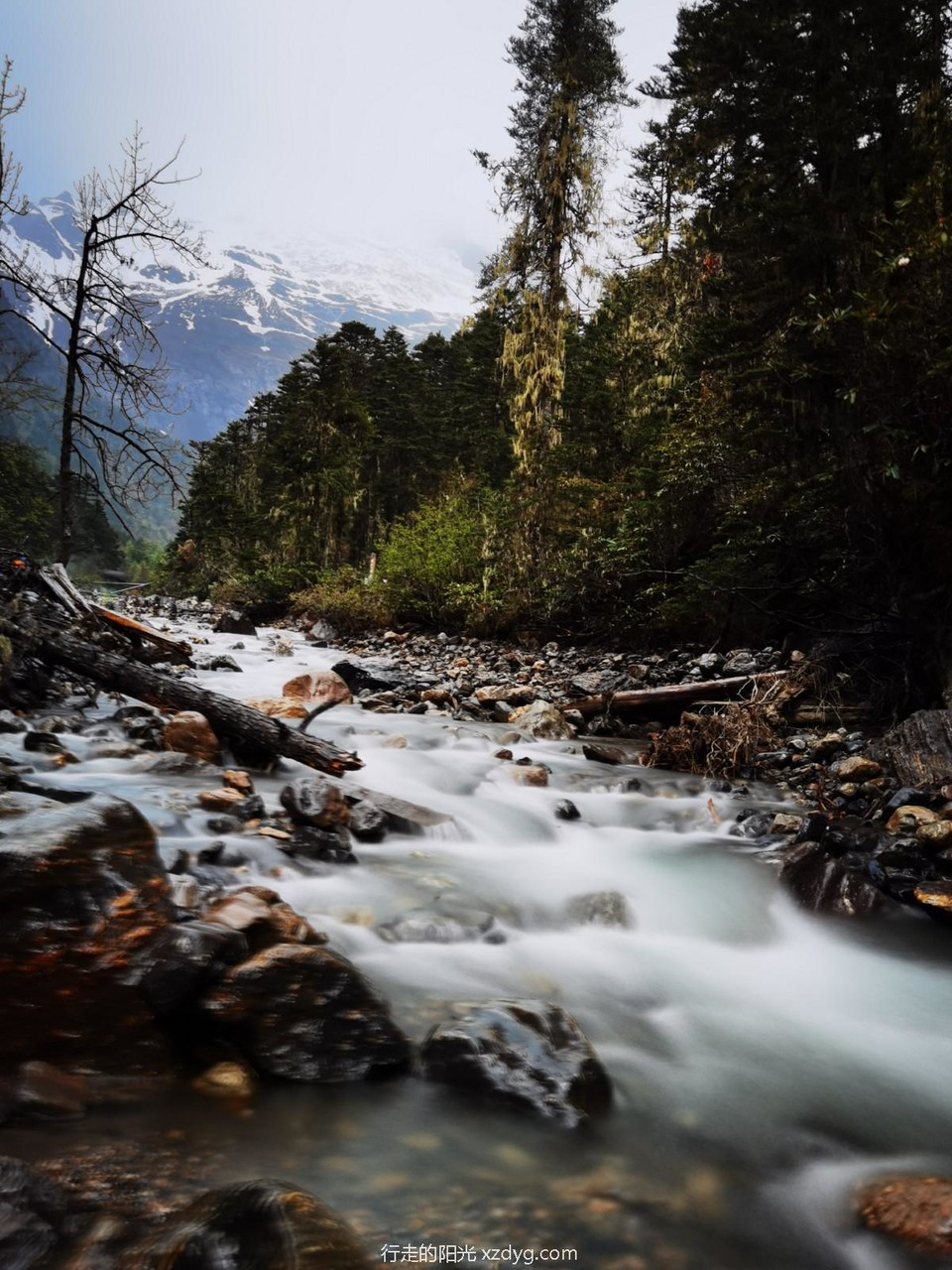 mmexport1621431723940