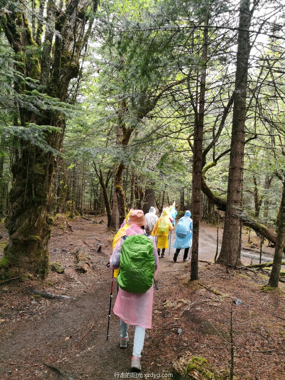 mmexport1621431627515