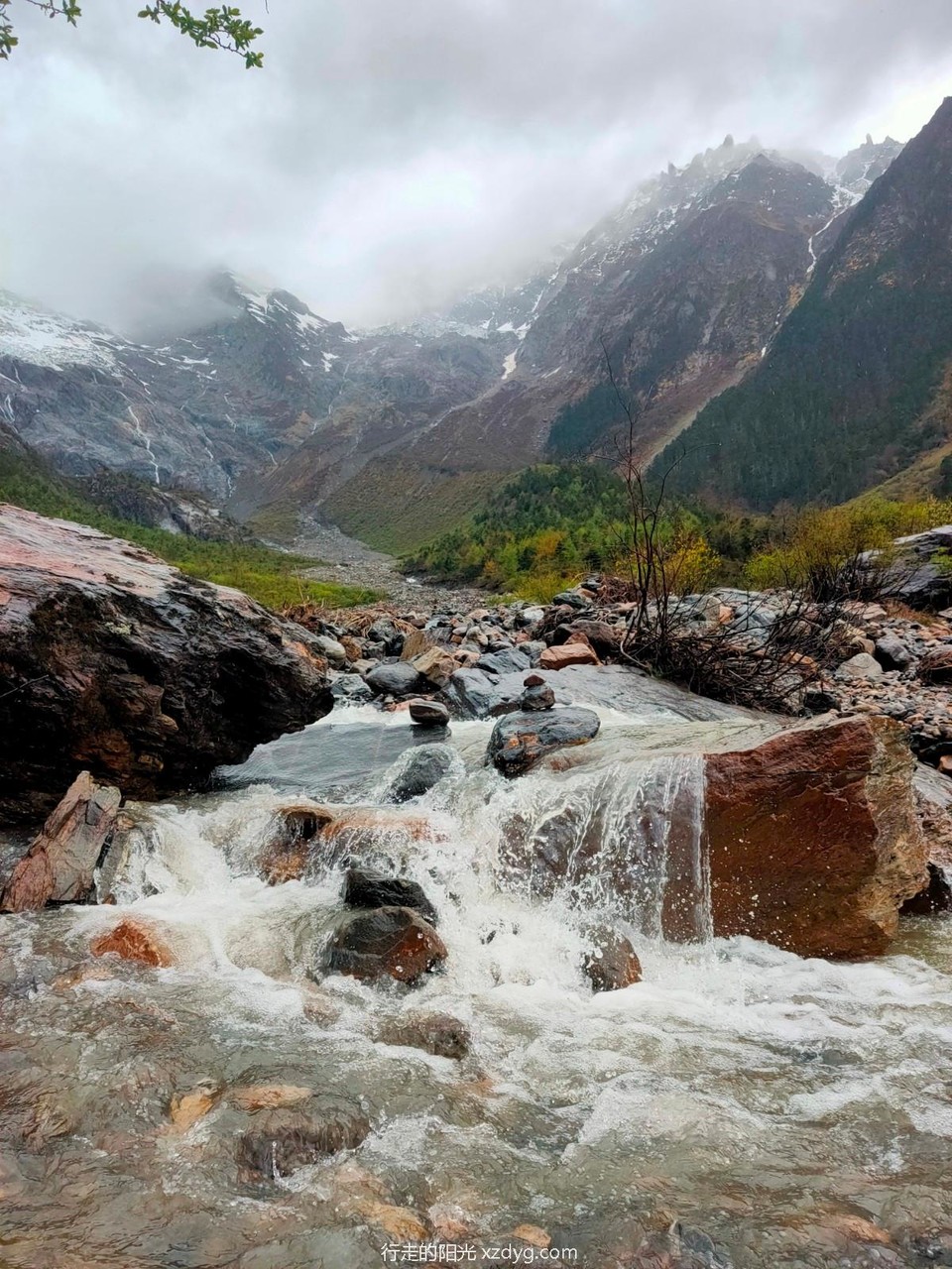 mmexport1621431569025