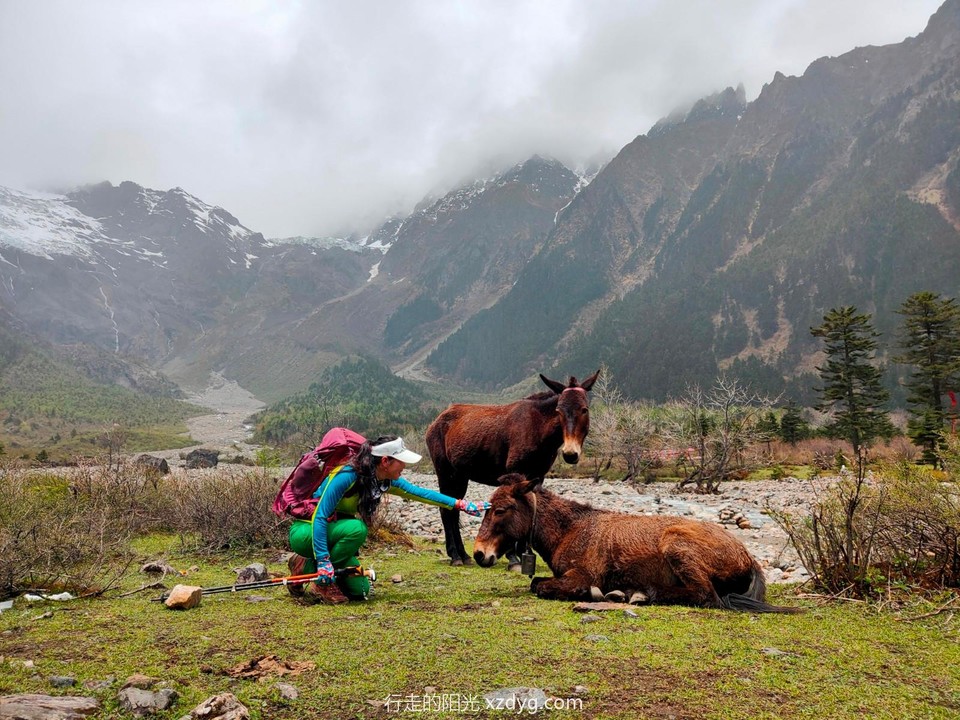 mmexport1621430587942