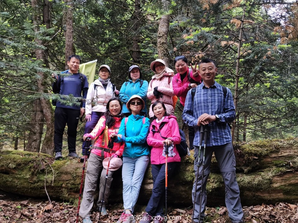 mmexport1621379493848