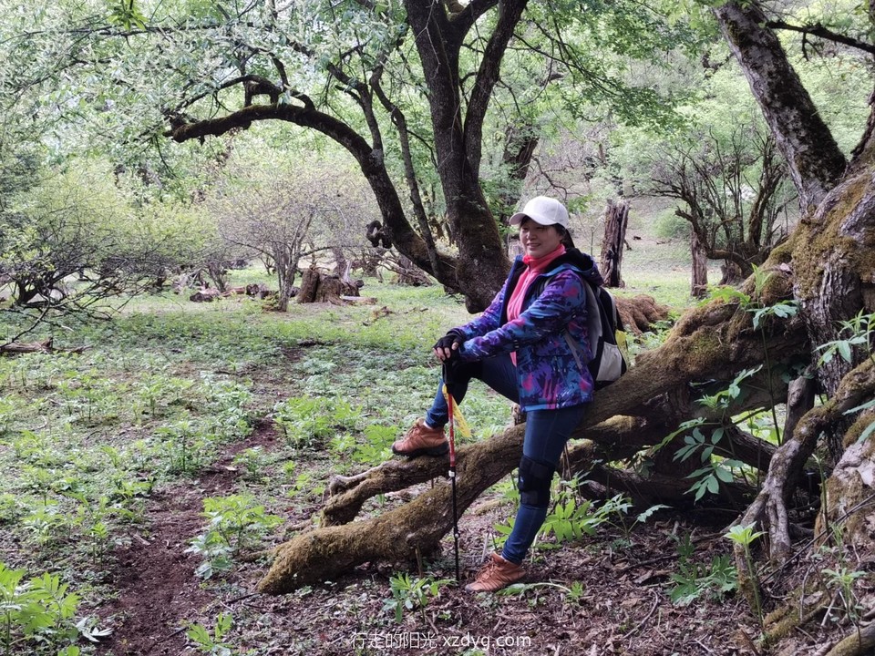 mmexport1621379384848