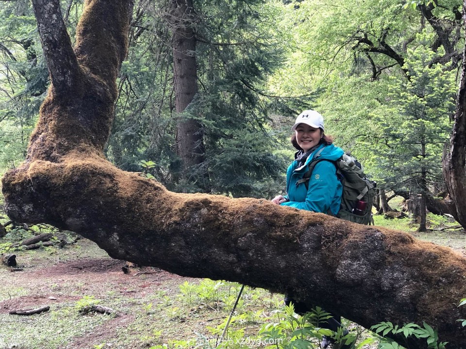 mmexport1621379245770