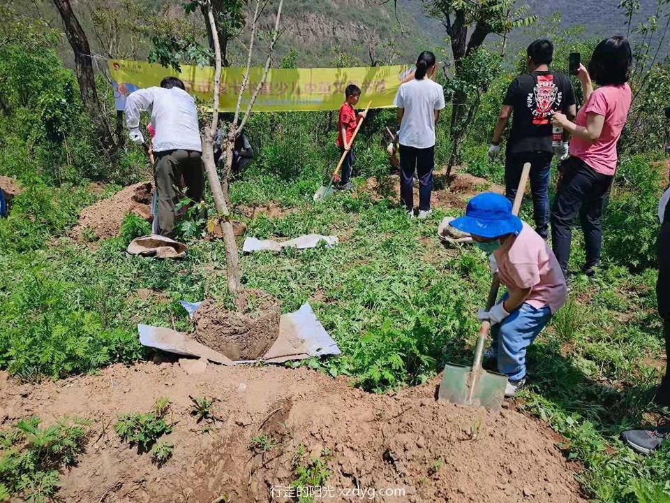 mmexport1621734606633