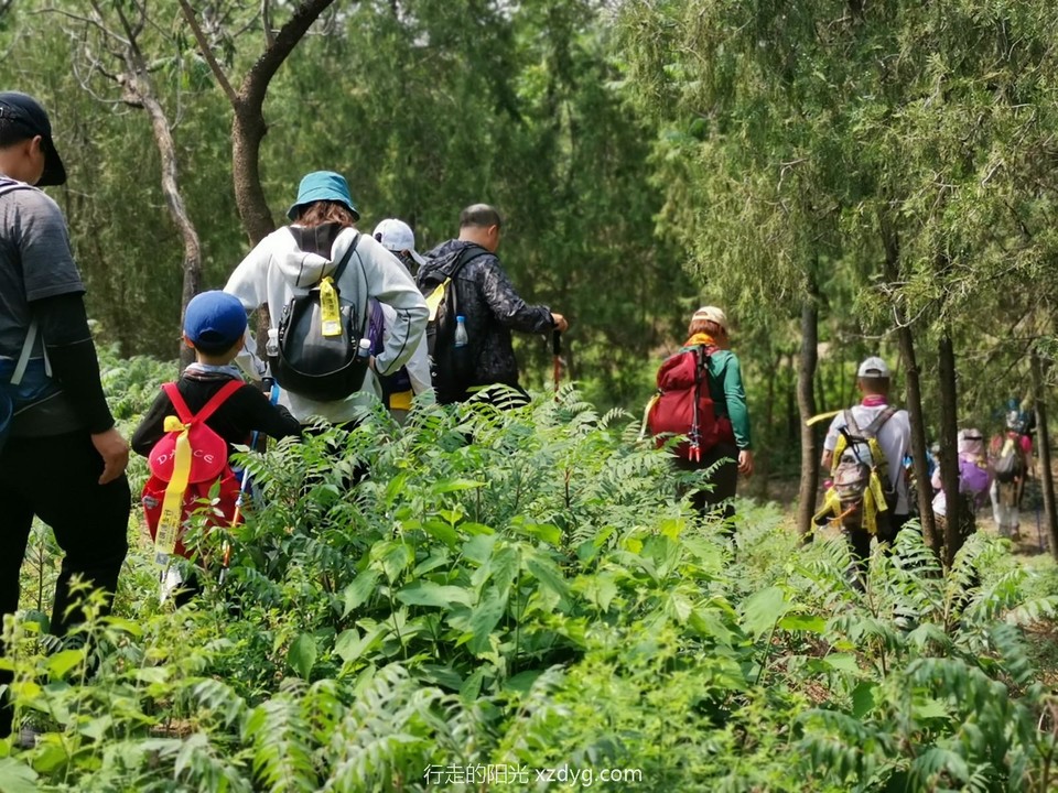 mmexport1621734805232