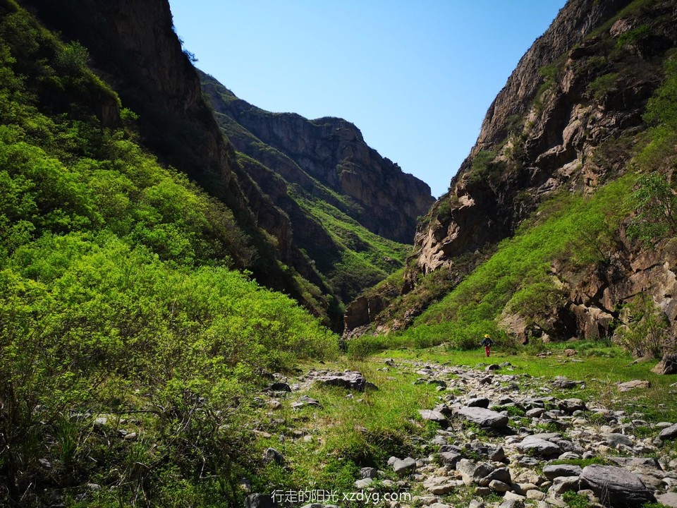 mmexport1622339539099