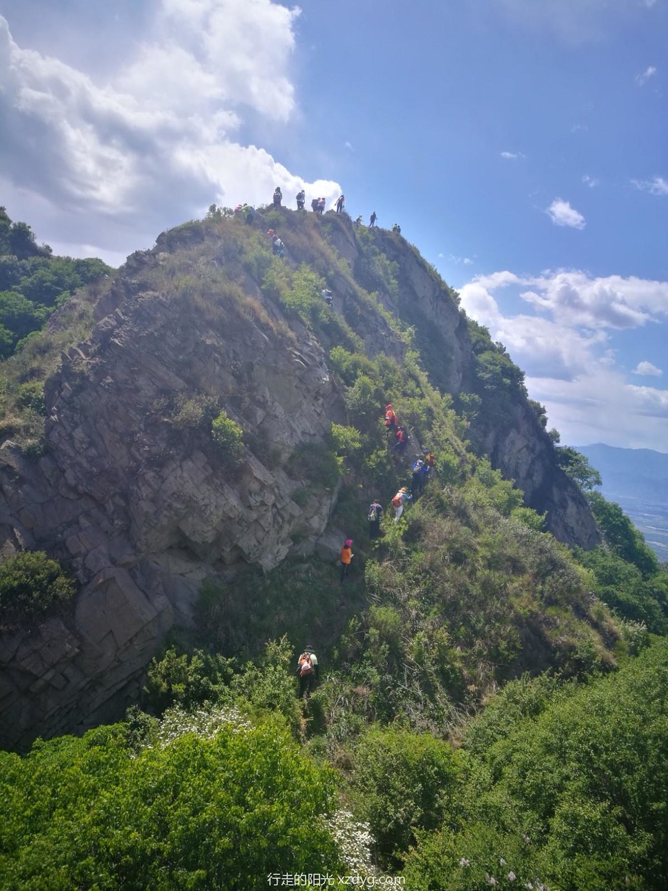 mmexport1623039117674