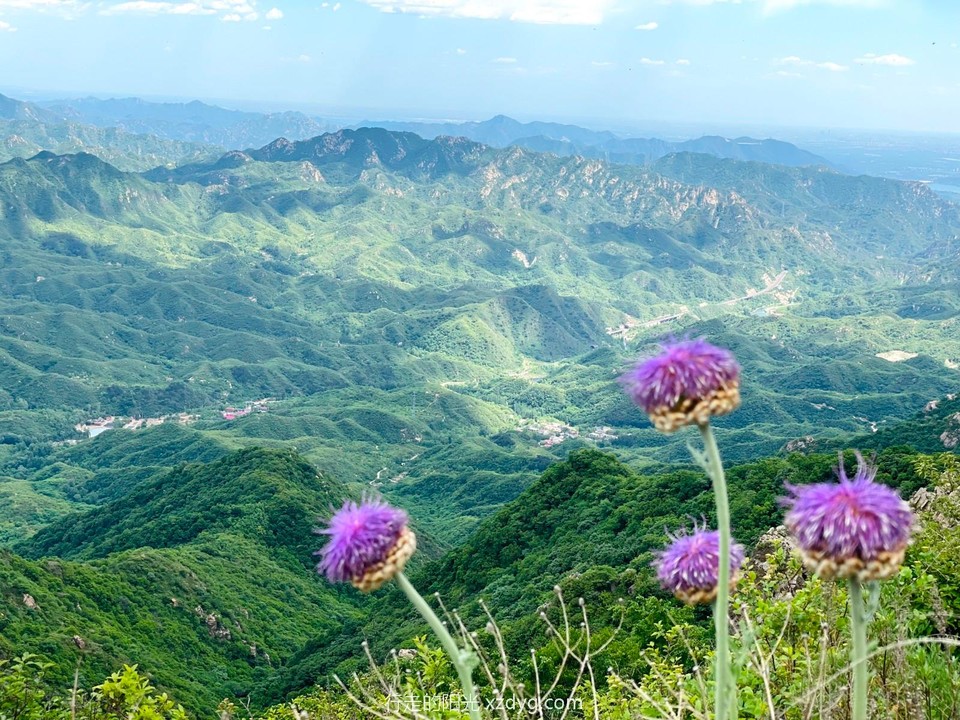 mmexport1622963459014