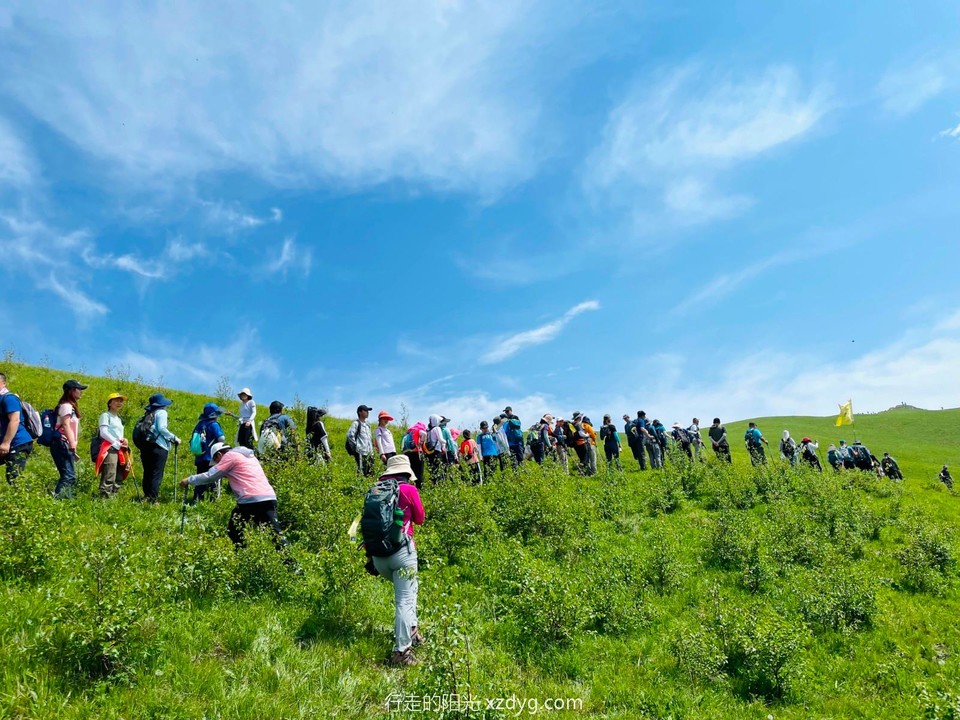 mmexport1623640504202