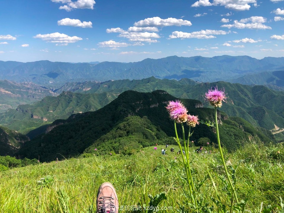 mmexport1624284697848