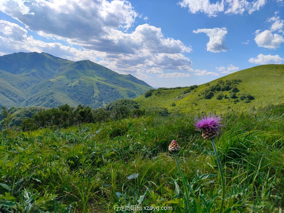 mmexport1624284650447