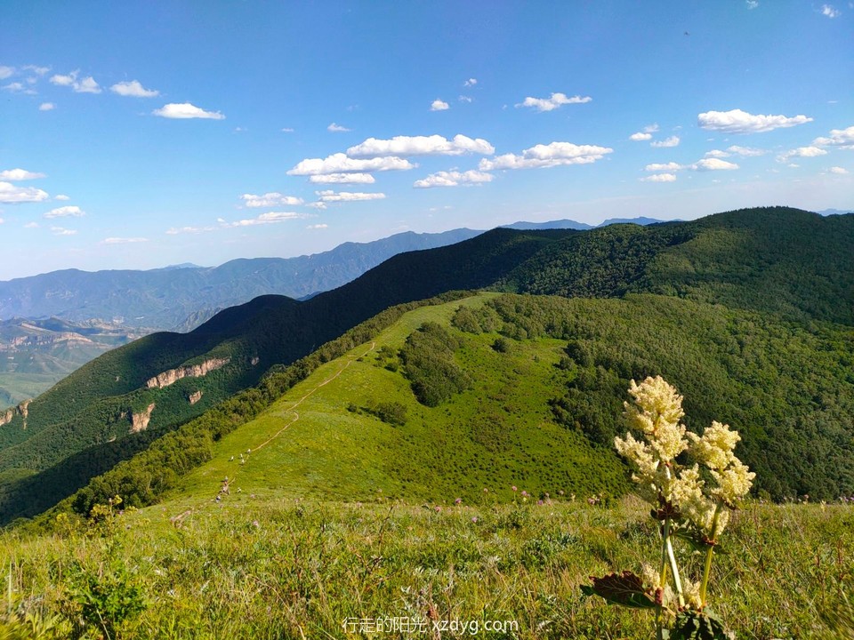 mmexport1624284631935