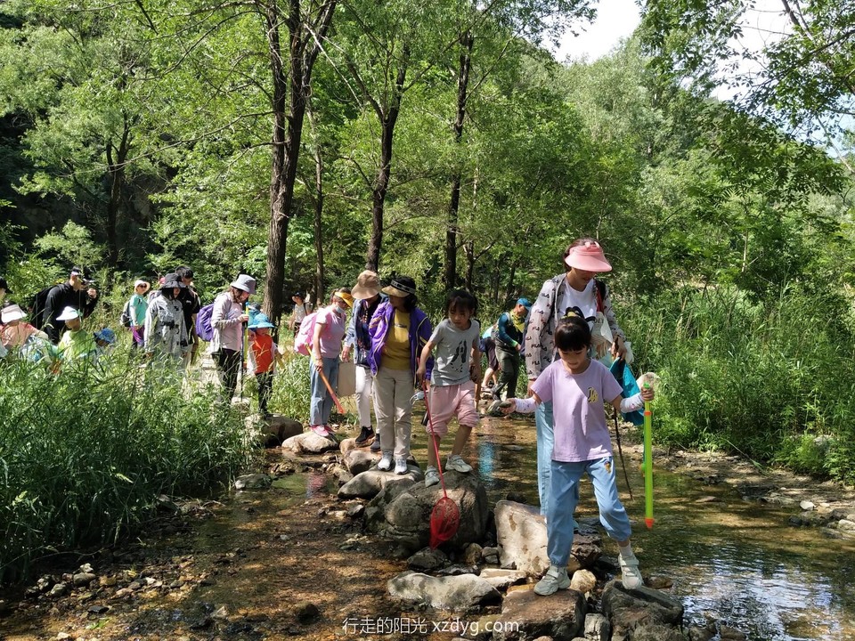 mmexport1624322375147