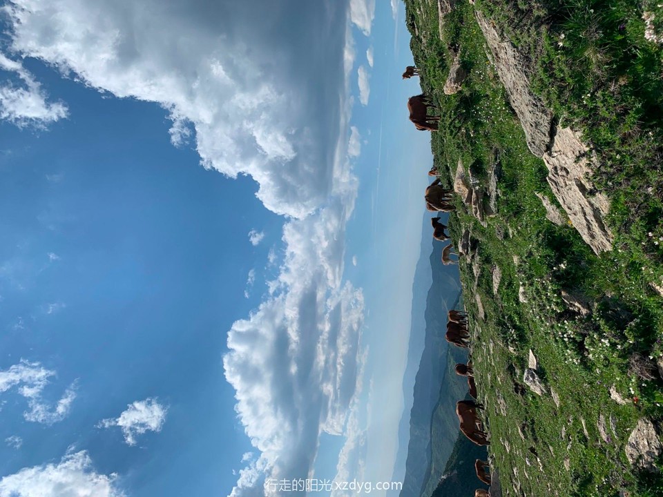 mmexport1624277831574