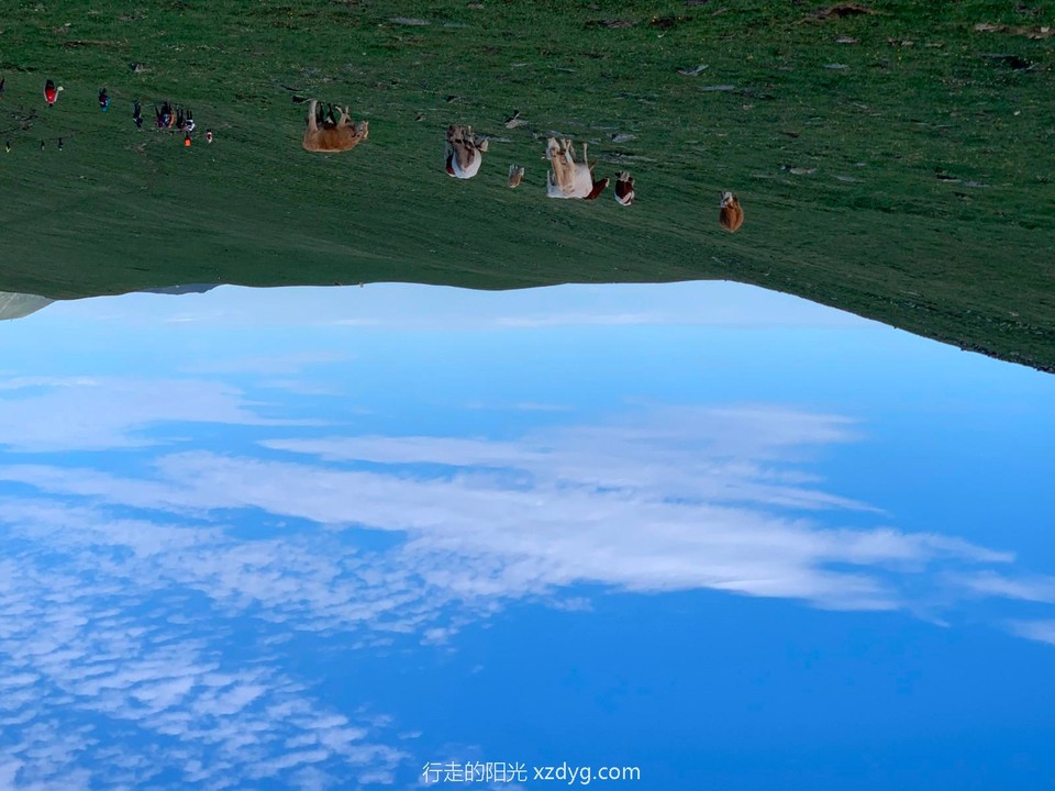 mmexport1624238678702