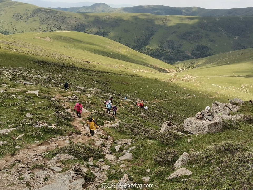 mmexport1624237623905