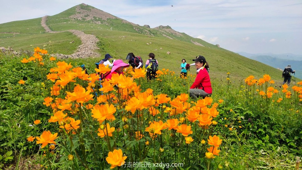 mmexport1625996523012