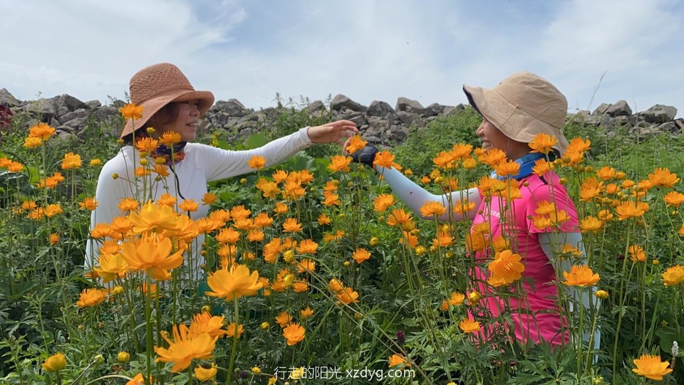 mmexport1625996547812