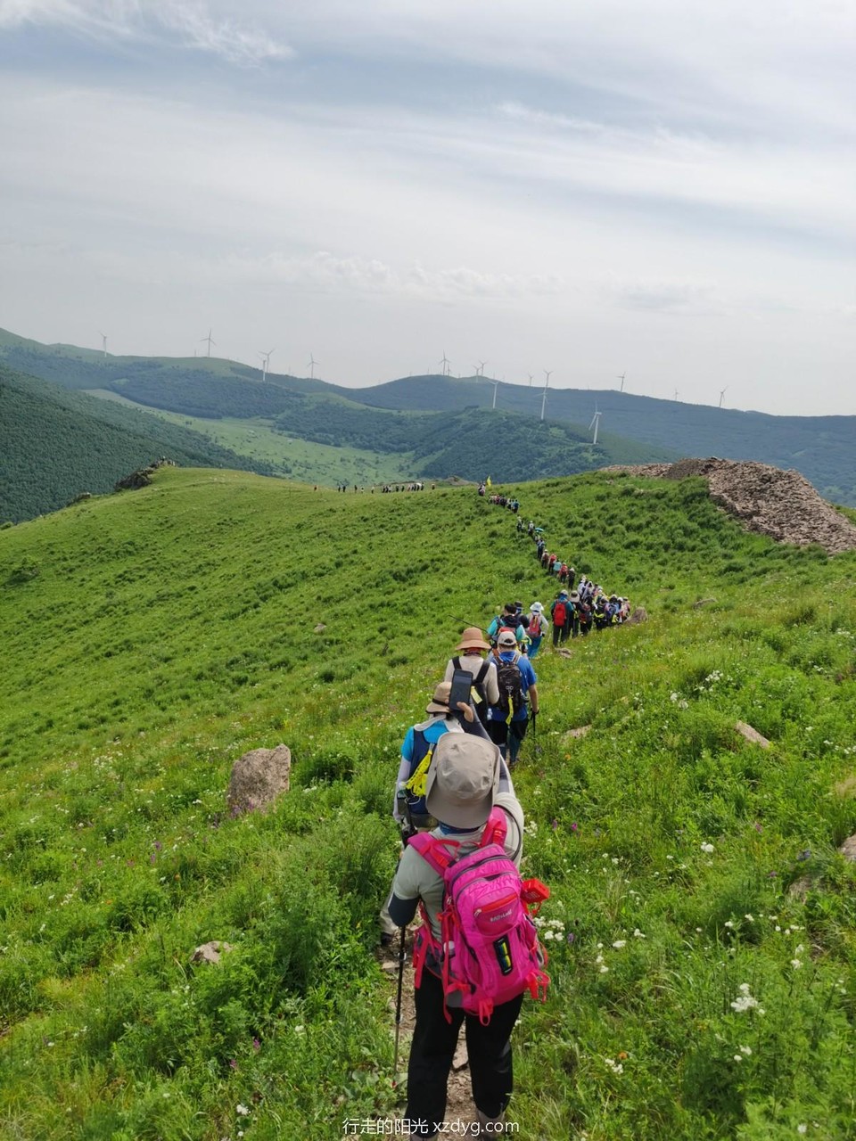 mmexport1626082289924