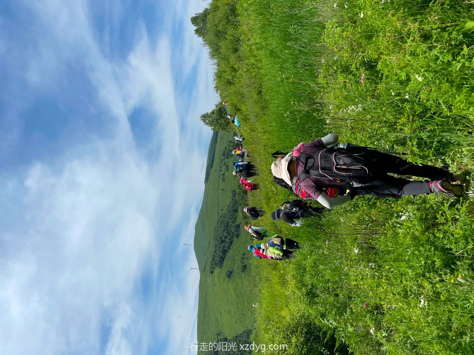 mmexport1626081932259