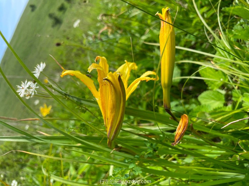 mmexport1626081914203