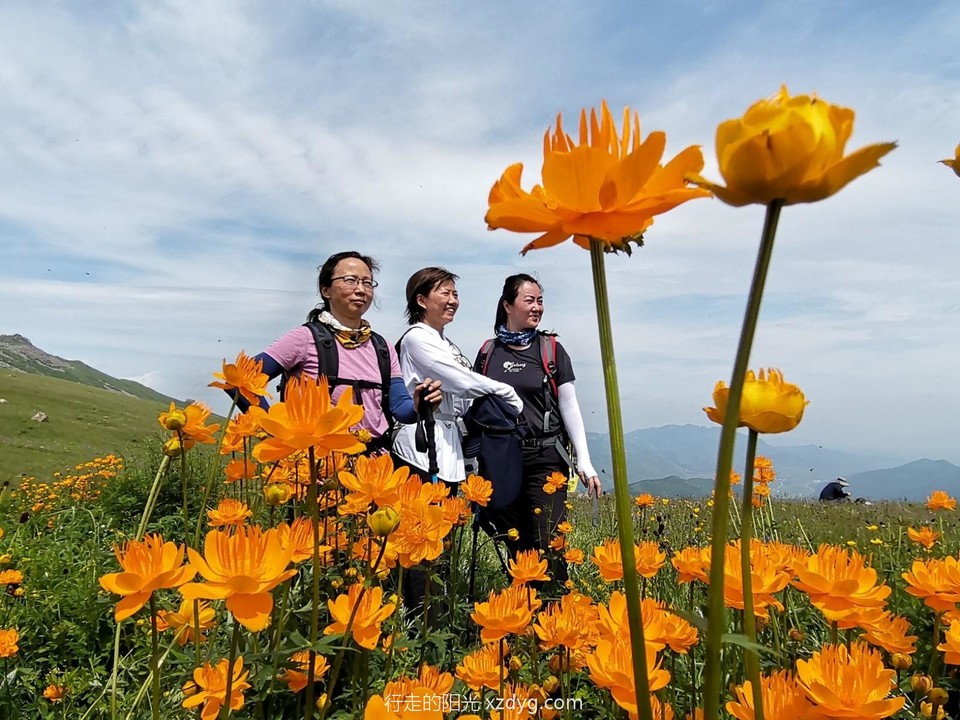 mmexport1625997127420