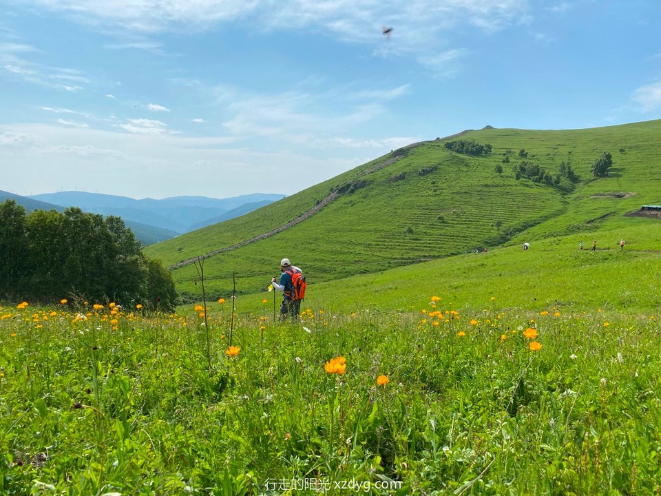 mmexport1625996888705