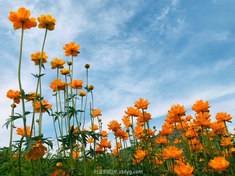 mmexport1625996802592