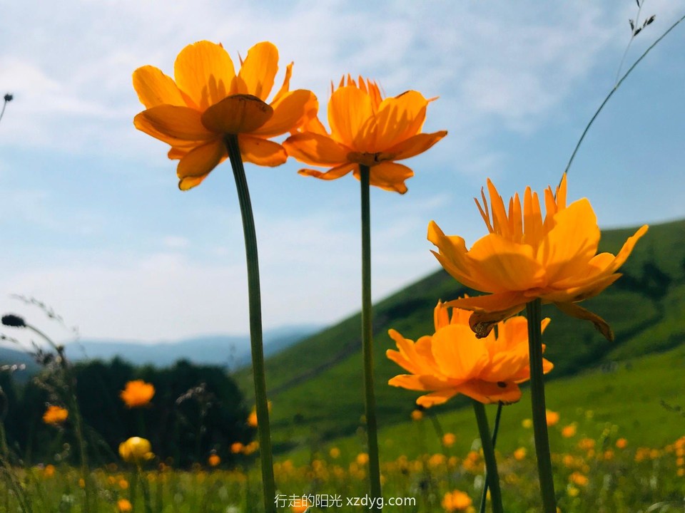 mmexport1625996793571