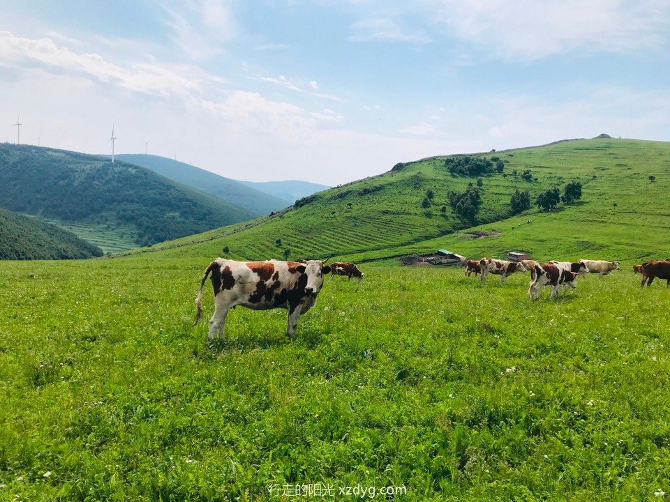 mmexport1625996772805