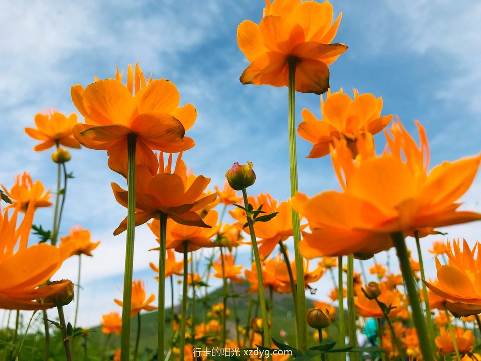 mmexport1625996762424