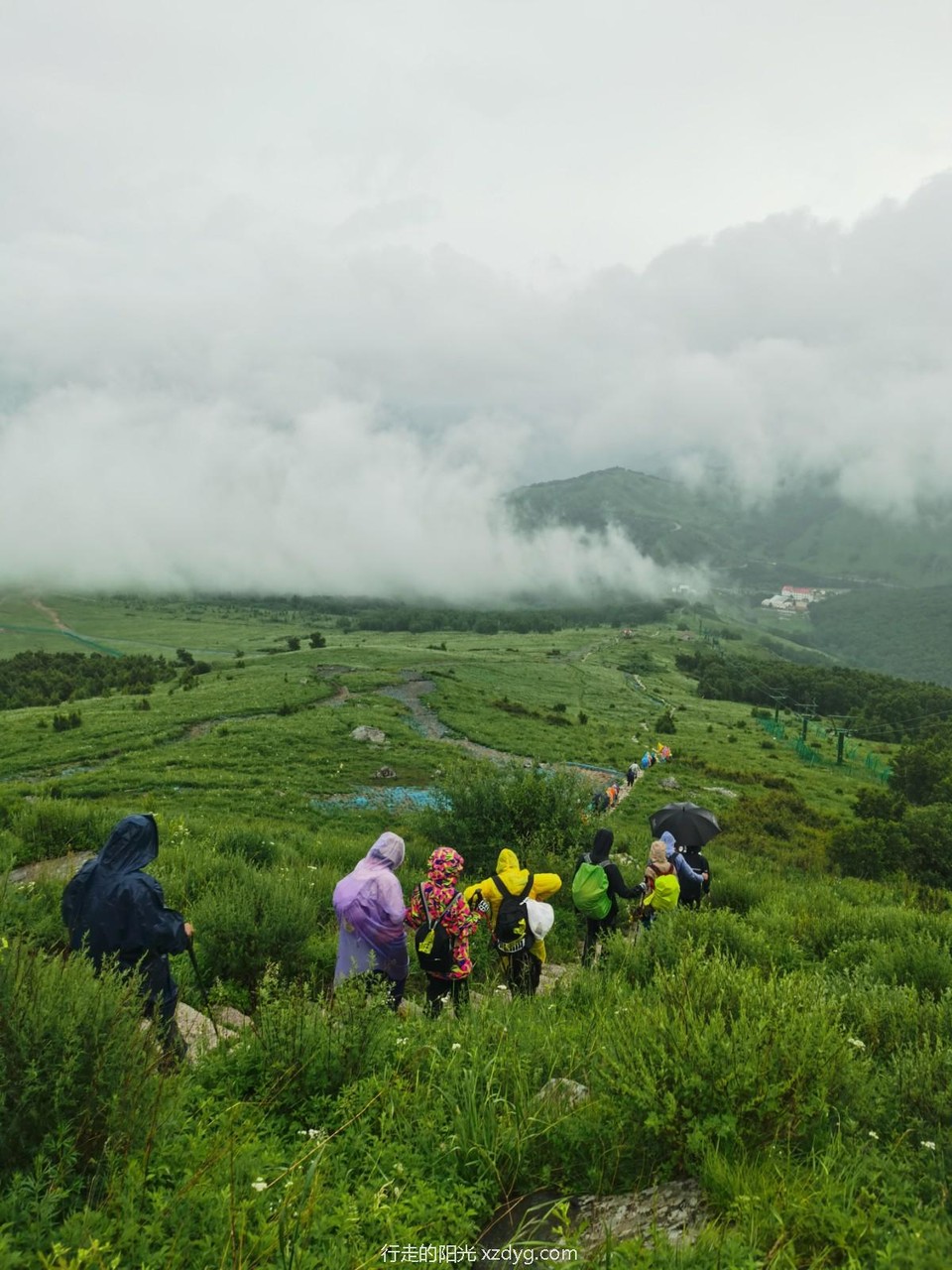 mmexport1625478389666