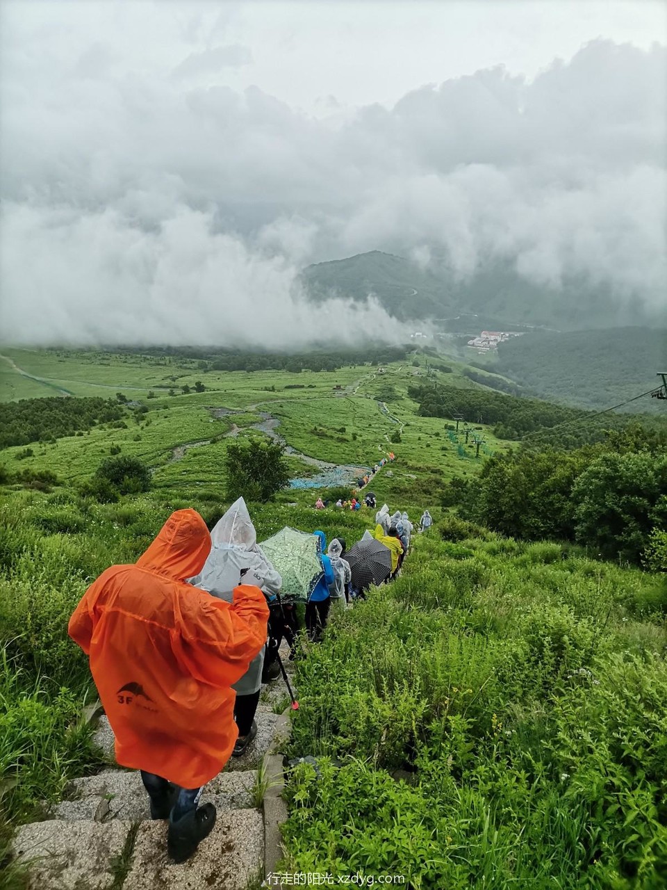 mmexport1625478351265