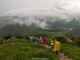 mmexport1625363243875