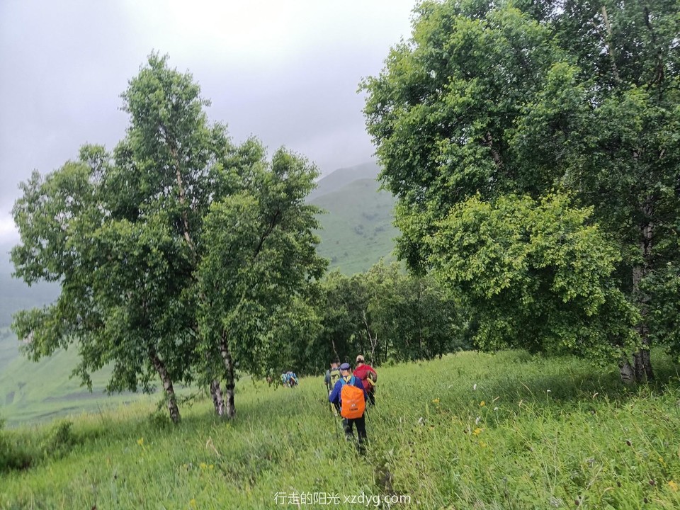 mmexport1626612662186