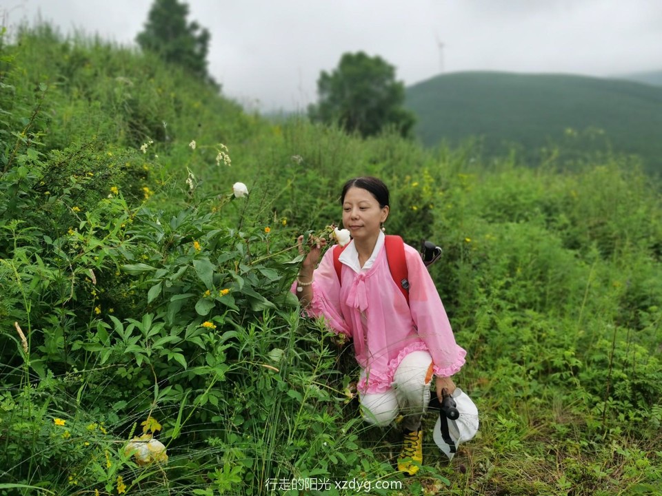 mmexport1626612573895