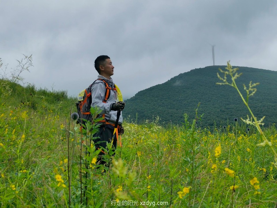 mmexport1626612561618