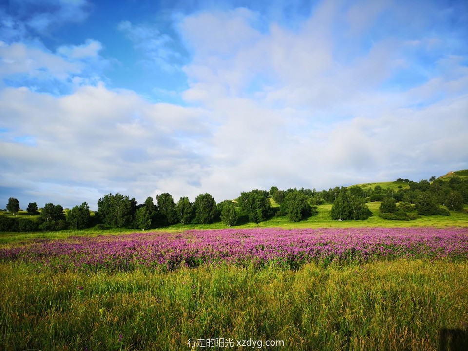 mmexport1626665990767