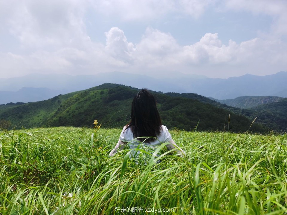 mmexport1627199554376