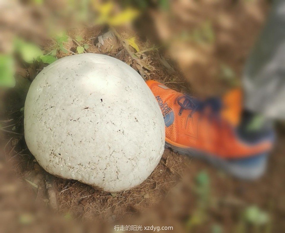 mmexport1627199435269