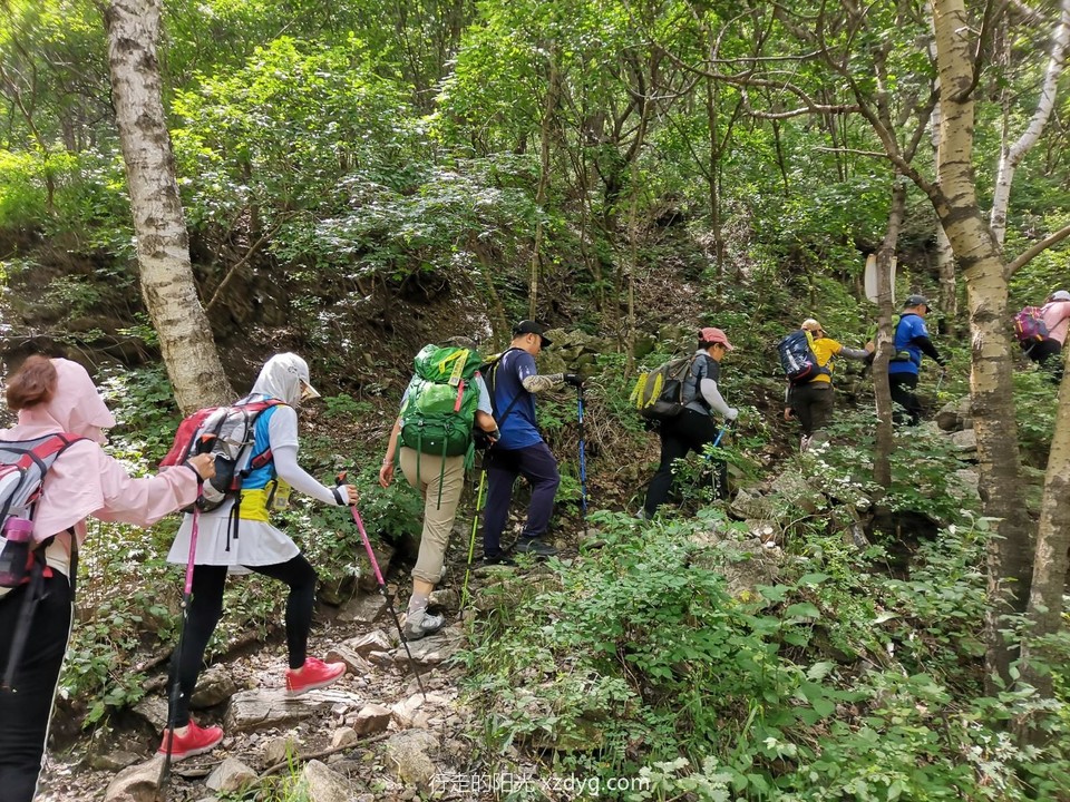 mmexport1627199369656