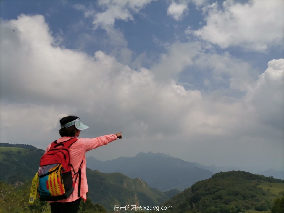 mmexport1627199337247