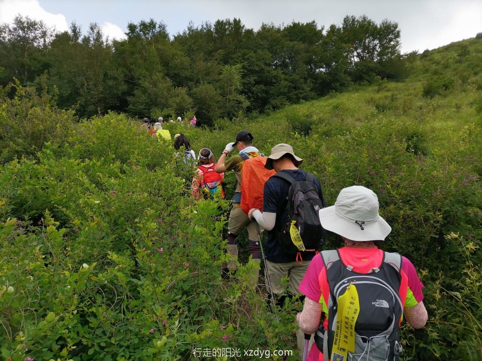 mmexport1627199231614