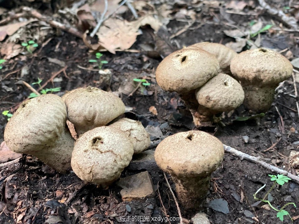 mmexport1627199144302