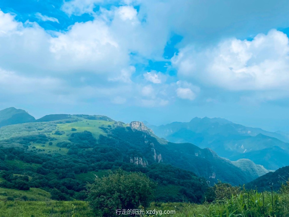 mmexport1627199130044